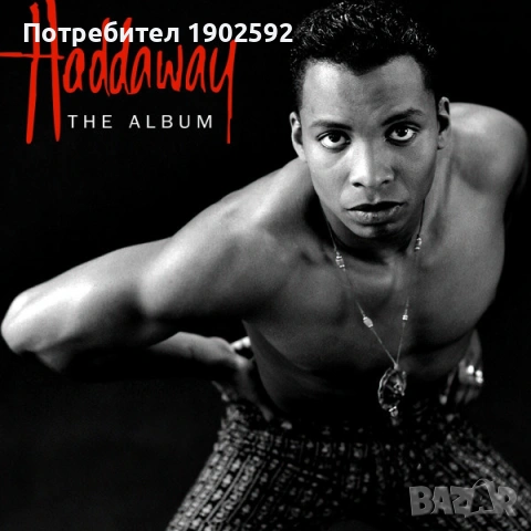  Haddaway ‎– The Album  , снимка 4 - Грамофонни плочи - 54175959