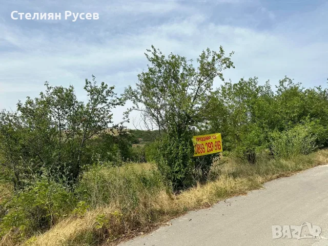 с. Калипетрово имот 1191кв.м ул. Орехова 32 / градина / парцел / терен , област Силистра -цена 8 400, снимка 10 - Парцели - 55769201