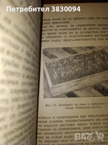 Отглеждане на Домати в Оранжерии, снимка 2 - Други ценни предмети - 49375132