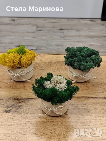 Кашпи със скандинавски мъх!, снимка 4 - Декорация за дома - 52190514