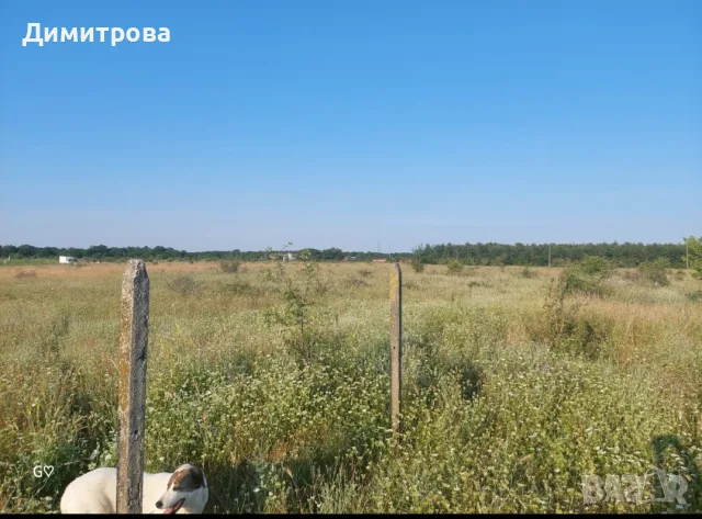 Земеделска земя 10 дка, снимка 4 - Земеделска земя - 55810140