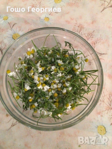 Билкар,изготвяне на индивидуални програми,тинктури,мазила ,етерични масла и други