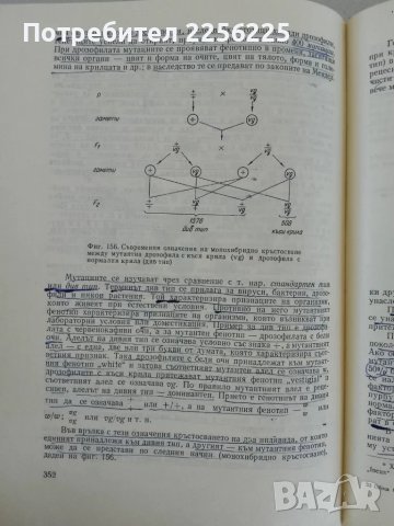 Обща биология, снимка 4 - Специализирана литература - 47493954