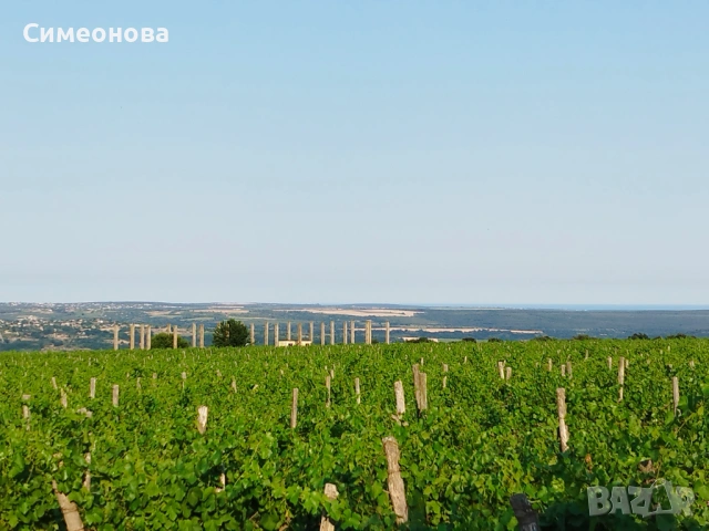 Почистване и подръжка на домове и дворове , снимка 8 - Хигиенисти и миячи - 53954902