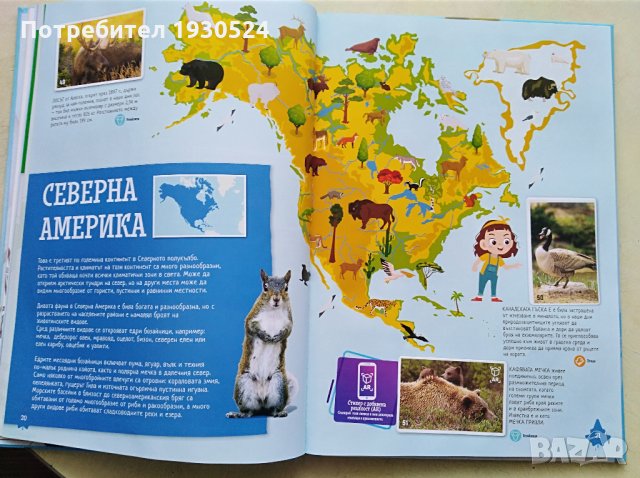 Колекционерски албум на Билла, снимка 6 - Колекции - 31797251