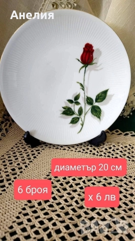 Rote rose🌹 Баварска червена роза