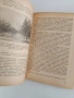 Създаване на интензивни овощни градини , снимка 3