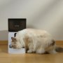Автоматичен диспенсър за храна за кучета и котки с WiFi приложение * Гаранция 2 години*, снимка 1
