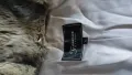 Дамско заешко кожухче, снимка 3