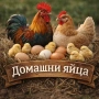 Домашни яйца, снимка 1