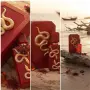 Veloro Rouge – универсален парфюм 100 ml, Луксозен ориенталски аромат с дълготрайно ухание, снимка 4