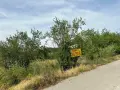 с. Калипетрово имот 1191кв.м ул. Орехова 32 / градина / парцел / терен , област Силистра -цена 8 400, снимка 10