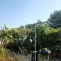 Парцел с овошки, снимка 17