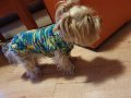 Плетена дрешка за куче М размер Различни цветове 
