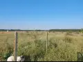 Земеделска земя 10 дка, снимка 4