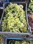 Продавам грозде за вино или ракия, снимка 2