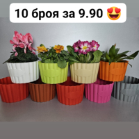 10 броя цветни кашпи само за 9.90!! Цветни кашпи  за цветя, орхидеи, снимка 7 - Саксии и кашпи - 44600365