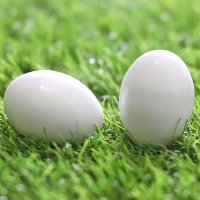Изкуствени яйца за гълъби, снимка 2 - Кокошки и пуйки - 37102205