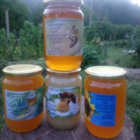 Мед 🍯 от производител , снимка 2 - Пчелни продукти - 38348024