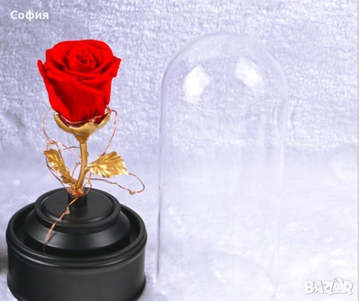 Вълшебна неувяхваща роза в стъкленица с LED светлина, снимка 1