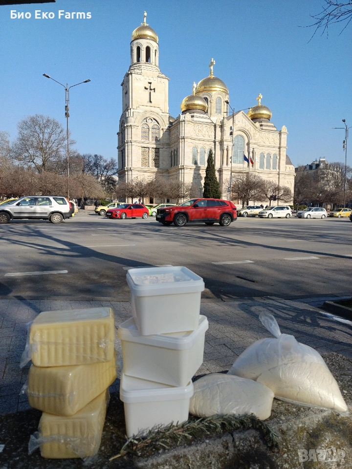 Домашно зряло краве сирене , зрял кашкавал , коприва , тесто, снимка 1