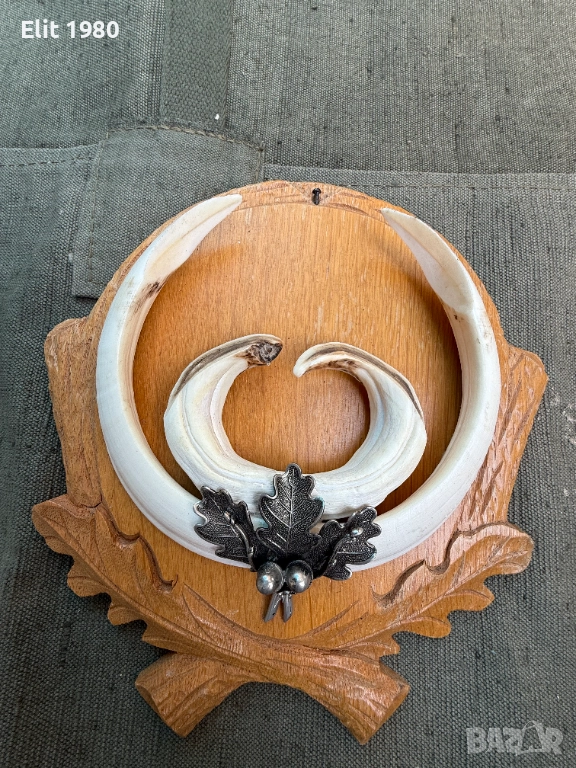 продавам ловни трофей , снимка 1