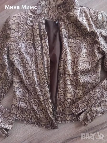 Яке преходно есенно, снимка 1