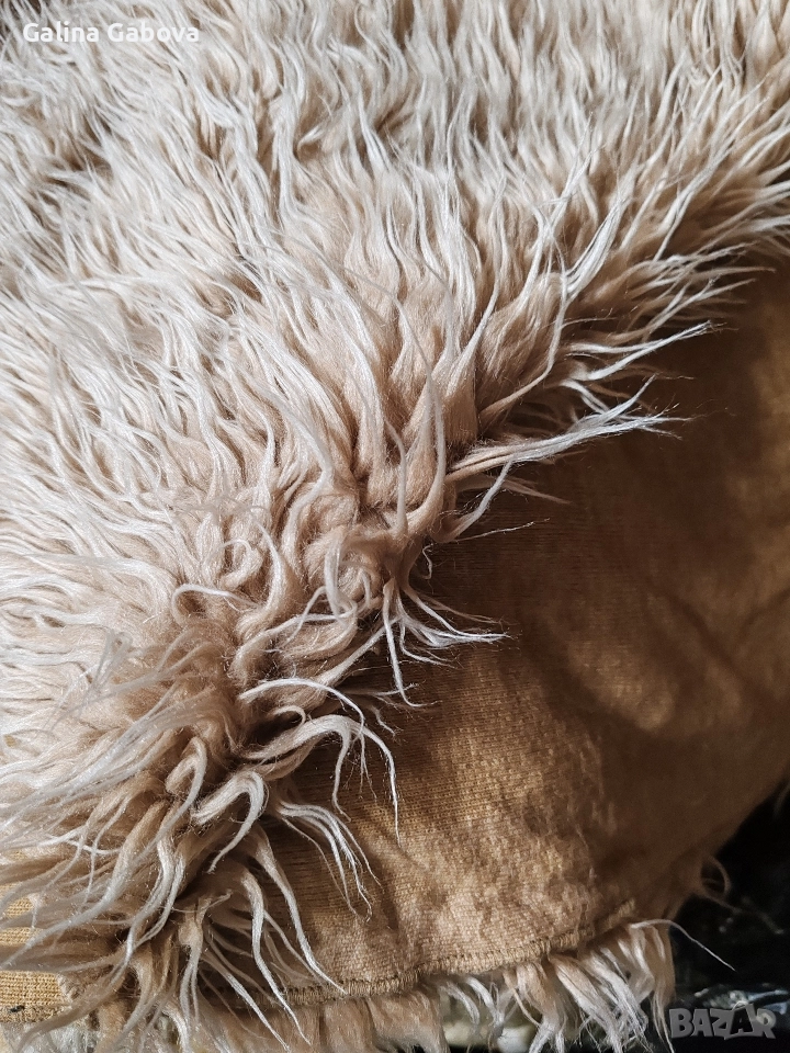 Покривала ледека, снимка 1