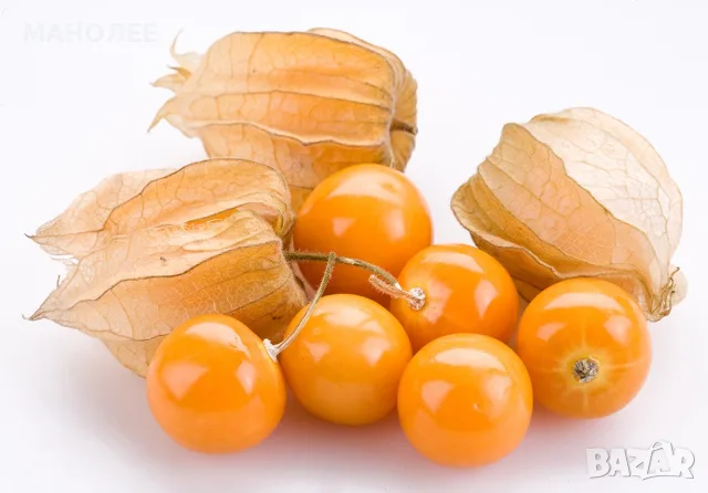 🍊🍊🍊 ФИЗАЛИС 🍊🍊🍊