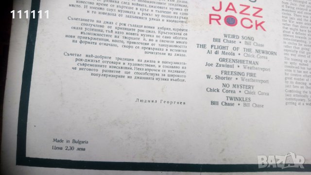 Опаковки от грамофонна плоча, снимка 11 - Колекции - 29972336