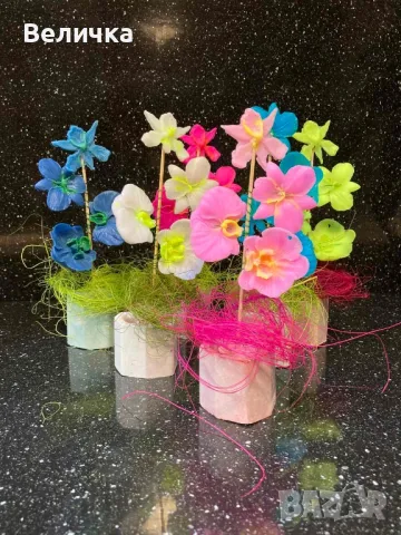 сапунени Орхидеи. , снимка 9 - Други - 48827188