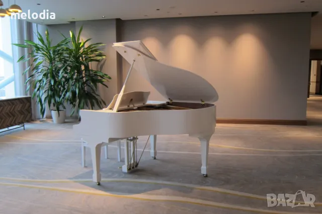 НОВИ рояли под наем за всякакви културни събития, снимка 6 - Пиана - 36256845