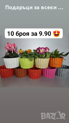 10 броя цветни кашпи само за 9.90!! Цветни кашпи  за цветя, орхидеи, снимка 7 - Саксии и кашпи - 44600365