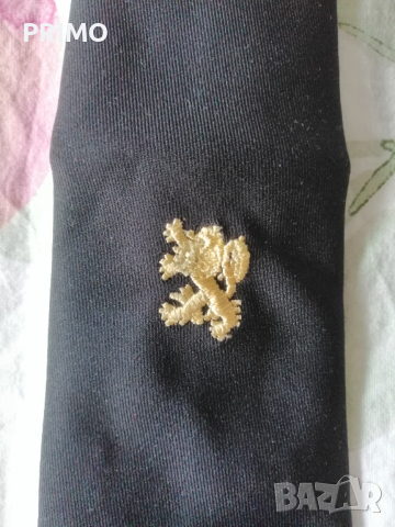 Вратовръзки черни с бродиран златен лъв