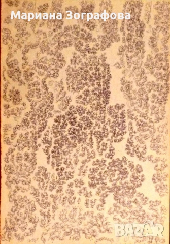 Картина-офорт, худ. Т. Манолов 1988 г., - Графики - худ. М. Зографова, - и Голяма дървена рамка, снимка 9 - Антикварни и старинни предмети - 49137840