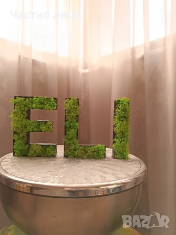 ЕЛИ/НЕЛИ със скандинавски мъх , снимка 5 - Изкуствени цветя - 47473801