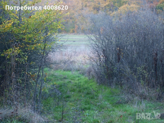 Продавам от 12 дка в с. Приселци, общ. Аврен, обл. Варна – местност „ЯВЛ“(На около 2км от селото), снимка 5 - Парцели - 52355518