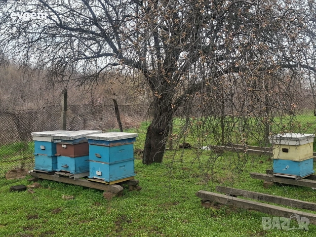 Празни кошери Л.Р 