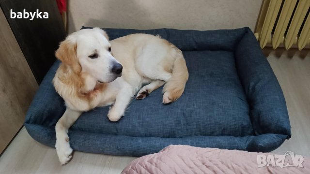 Луксозни легла за големи кучета