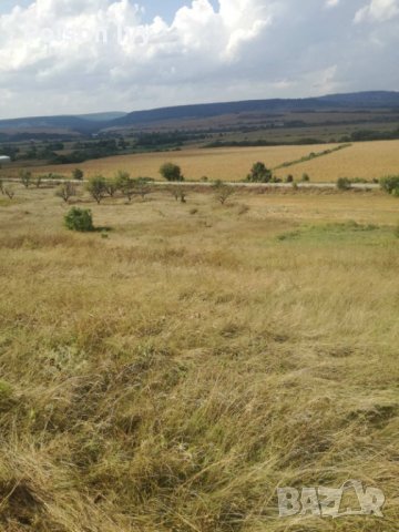 Дворно място в село Сава, снимка 3 - Парцели - 35637958