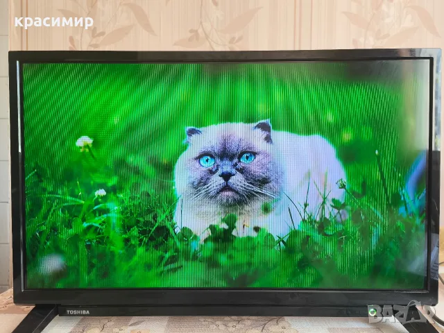 Toshiba 24WA2063DG 24" Smart Android TV - проблем с колонките, снимка 6 - Телевизори - 55961319