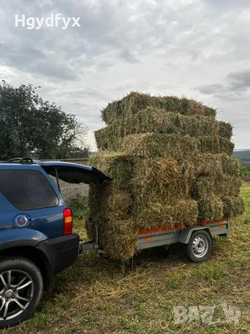 Балли чиста люцерна 
