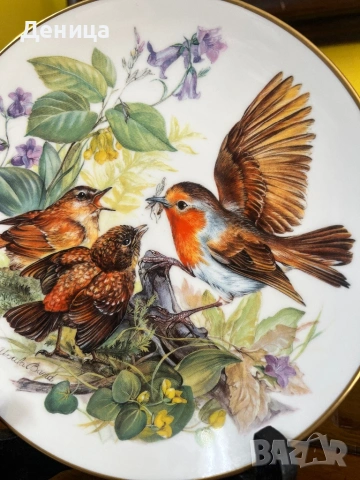 Чинията е много красива♥️ Колекционерска порцеланова чиния от серията „Hungrige Rotkehlchen“ (Гладни, снимка 3 - Други - 54117601