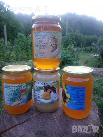 Мед 🍯 от производител , снимка 2 - Пчелни продукти - 38348024