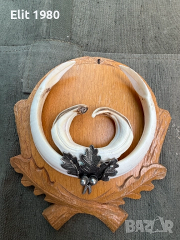 продавам ловни трофей 