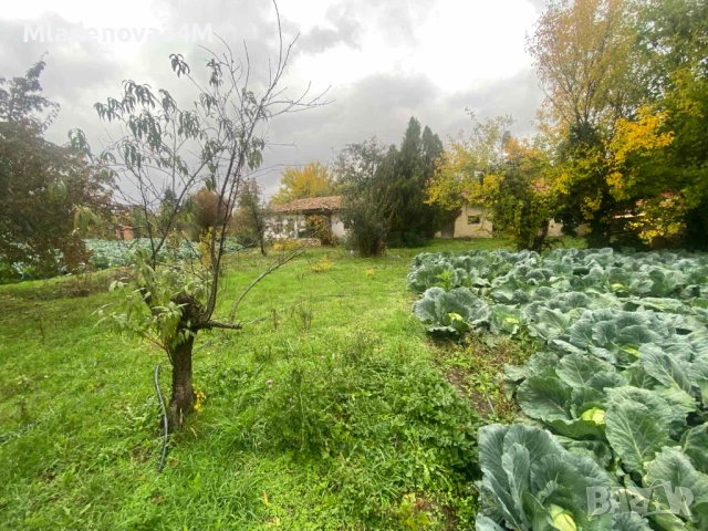 Имот с голям двор, снимка 5 - Къщи - 52255307