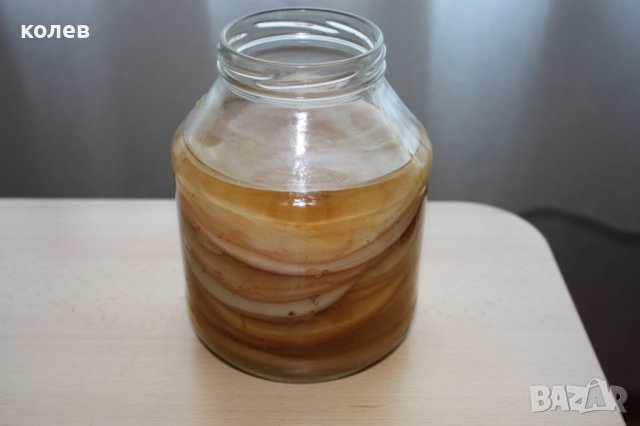 чаена гъба комбуча