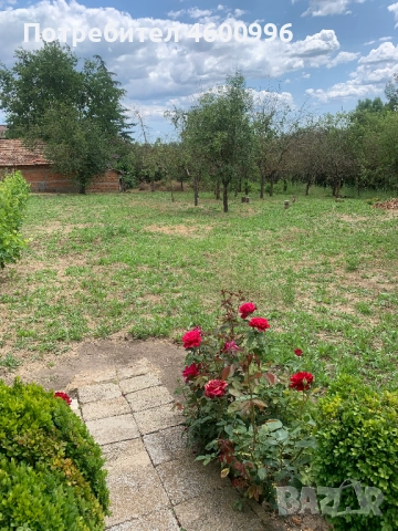 Продавам къща в село Дъбравино, Варненско, с просторен двор – 3 декара, снимка 17 - Къщи - 51788048