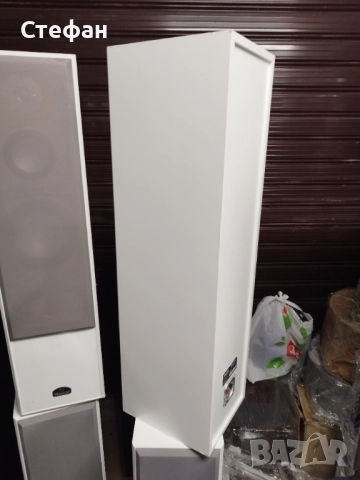 Magnat vision 8000, снимка 4 - Тонколони - 51564431