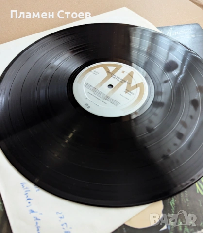 The Police – Outlandos D'Amour, грамофонна плоча, снимка 3 - Грамофонни плочи - 53125859